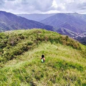 Meet your Posher, Omy